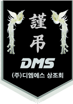 디엠에스