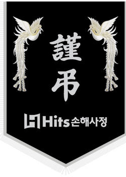 힛츠손해사정