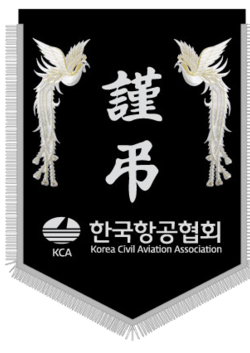한국항공협회