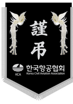 한국항공협회