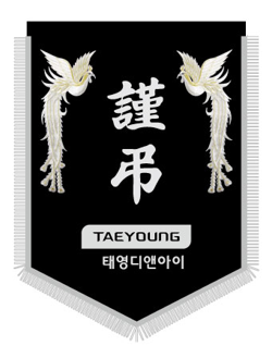 태영디앤아이