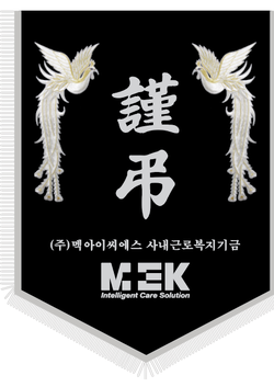 멕아이씨에스