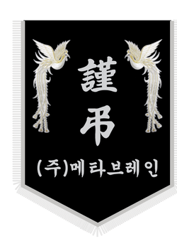 메타브레인