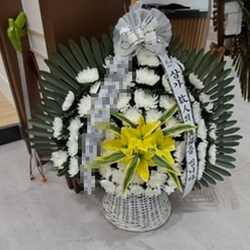 현장사진