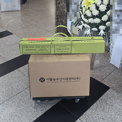 현장사진