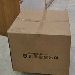 현장사진