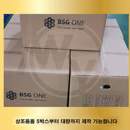 BSG ONE