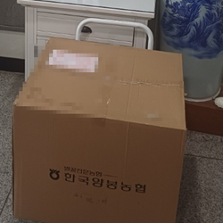 현장사진