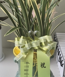 현장사진